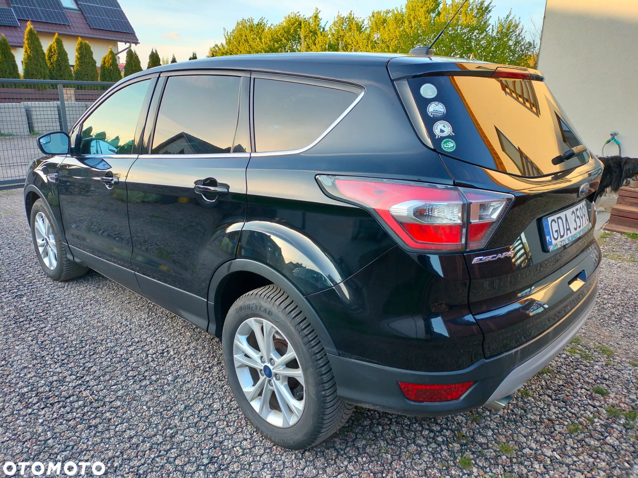 Ford Escape 1.5 EcoBoost AWD SE - 5