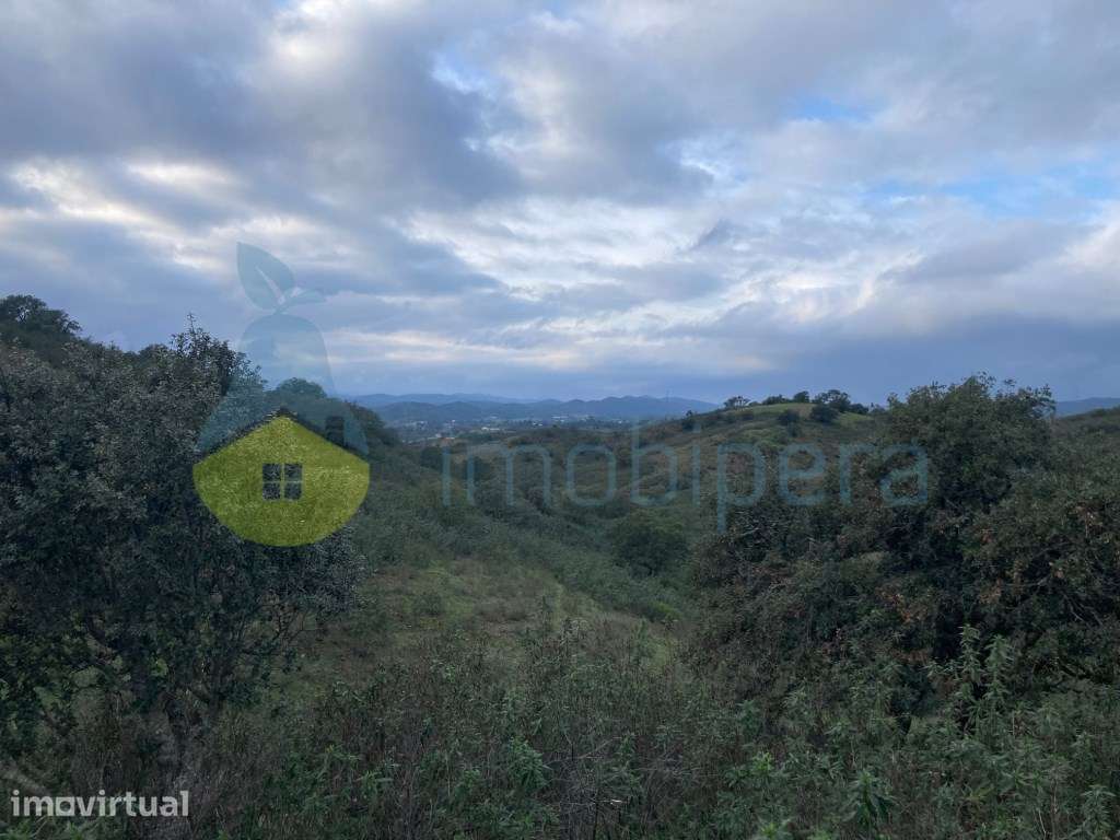 TERRENO RÚSTICO COM 29,296 m2 COM CULTURA ARVENSE - Grande imagem: 2/25