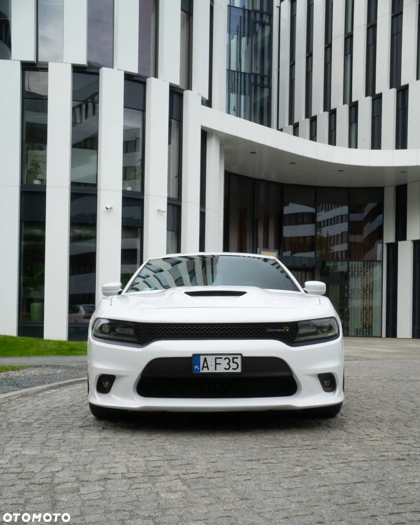 Dodge Charger 6.4 Scat Pack - 3
