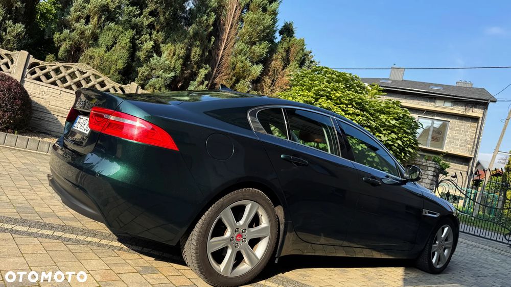 Jaguar XE - 9