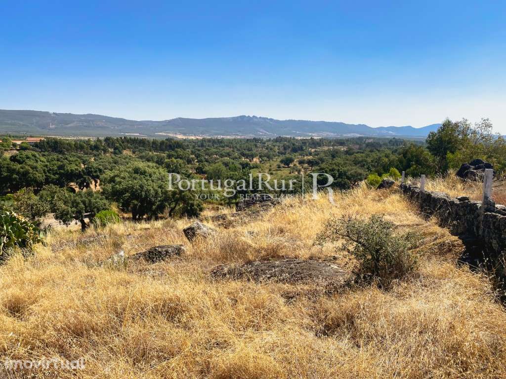 Terreno Rústico com 2.080 m² em Eugénia, Monsanto - Grande imagem: 5/14