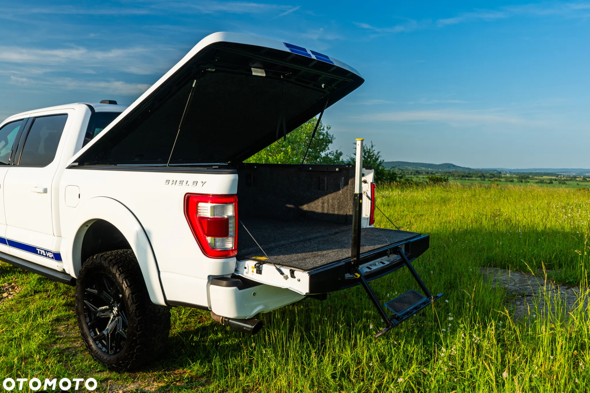 Ford F150