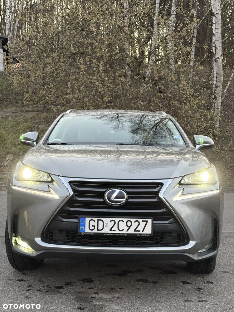 Lexus NX 300h Comfort AWD - 2
