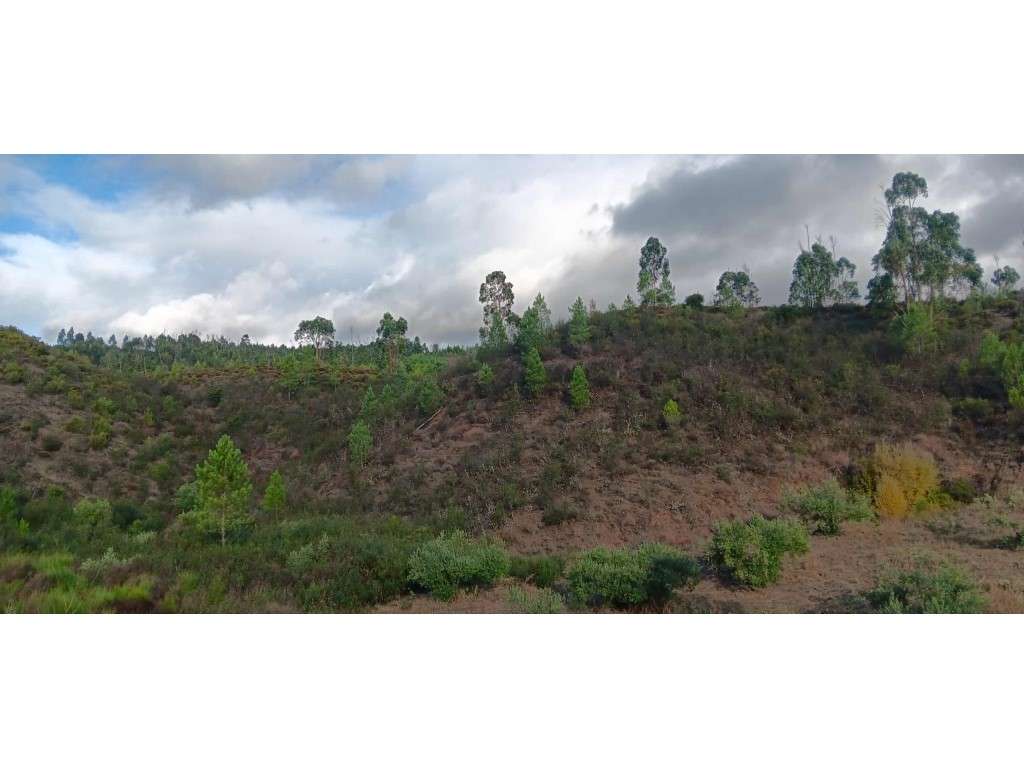 Terreno Rústico com 800 m² - Vale de Esteveira, Mação - Grande imagem: 2/8