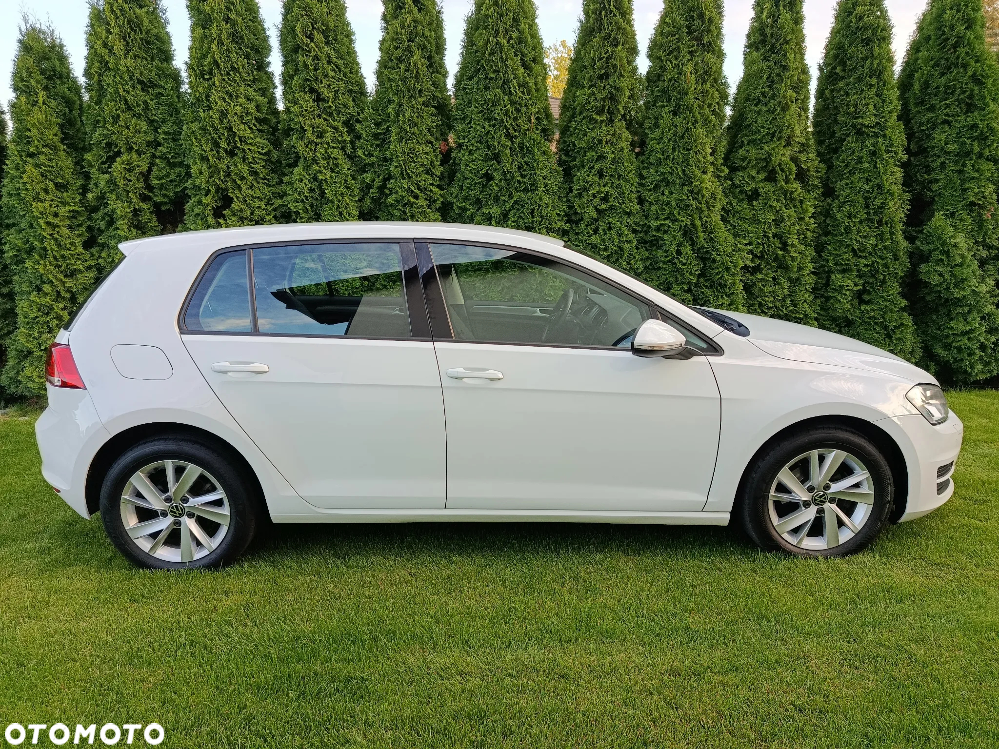 Volkswagen Golf VII 1.2 TSI BMT Trendline EU6 - 5