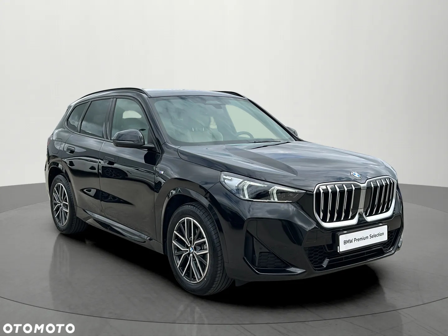 BMW X1 - 8