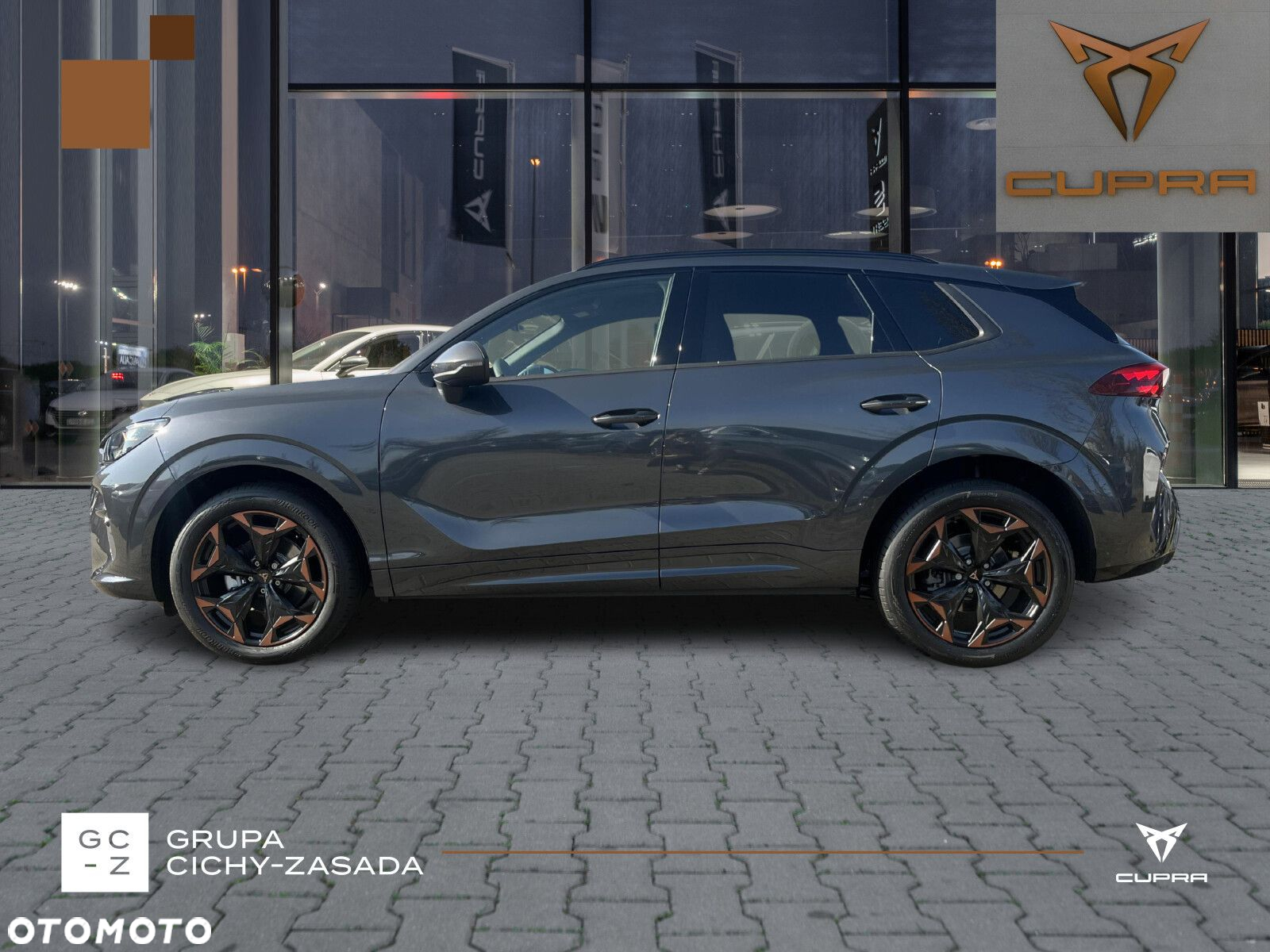 Cupra Terramar - 2