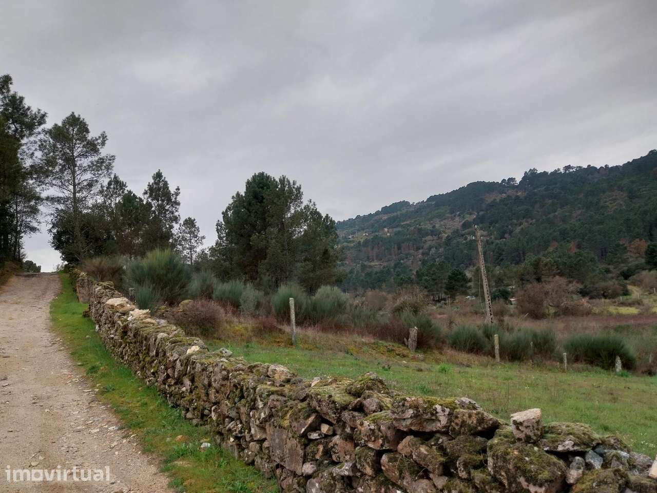 Terreno em Chaves, Oura - Grande imagem: 3/6