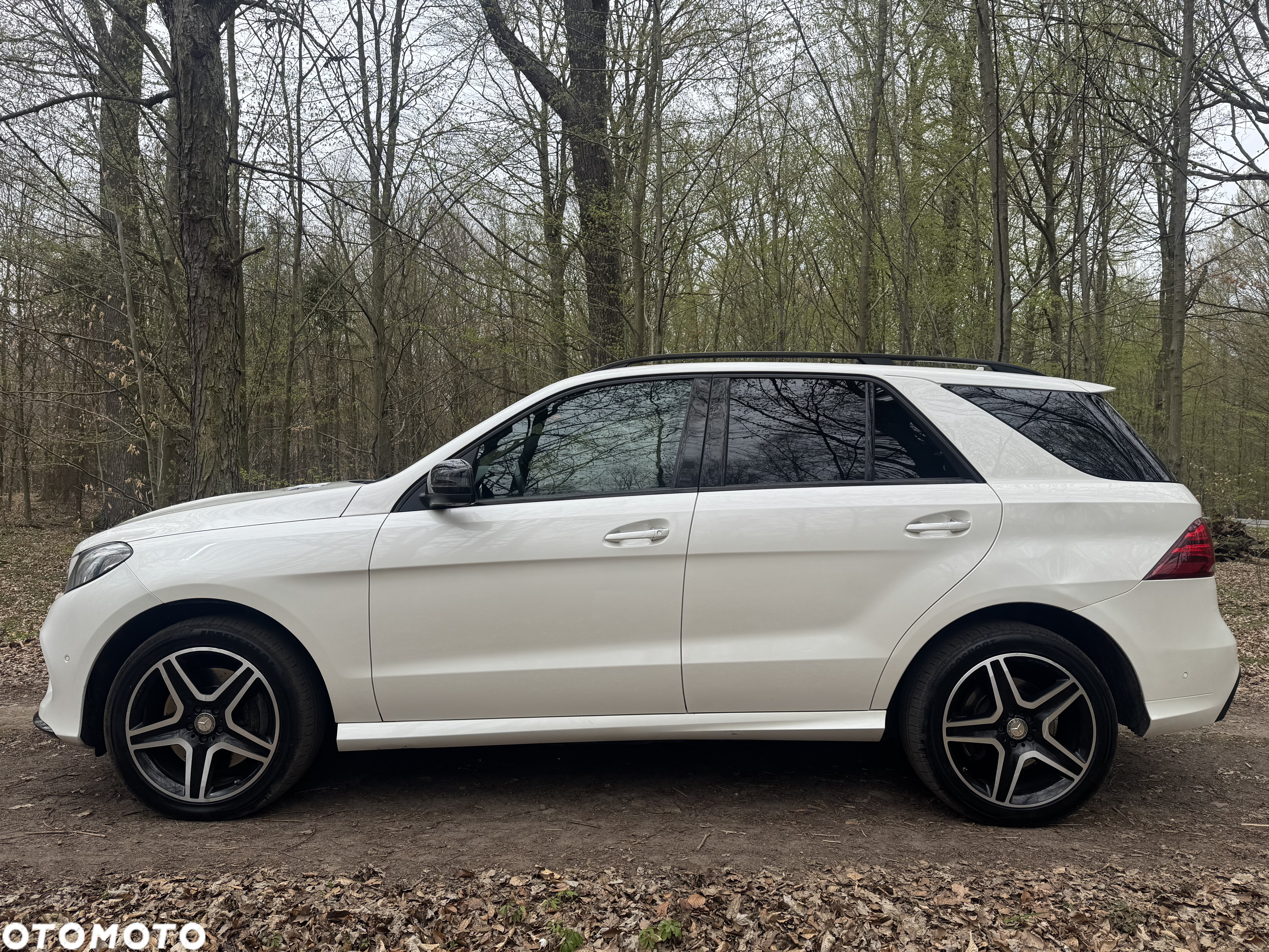 Mercedes-Benz GLE AMG 53 Hybrid 4Matic+ AMG Speedshift TCT 9G AMG Line Advanced Plus - 33