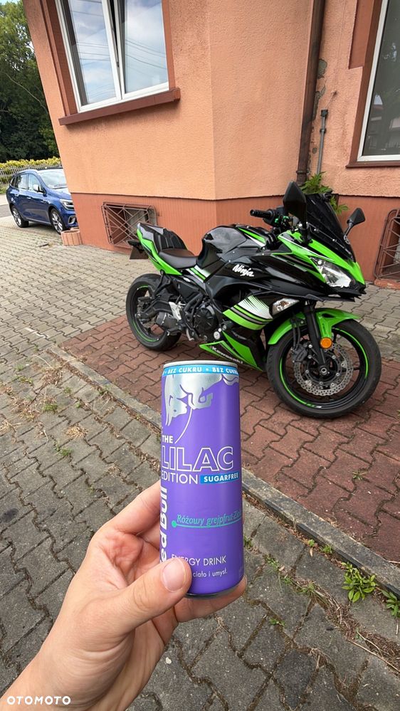 Kawasaki Ninja - 6