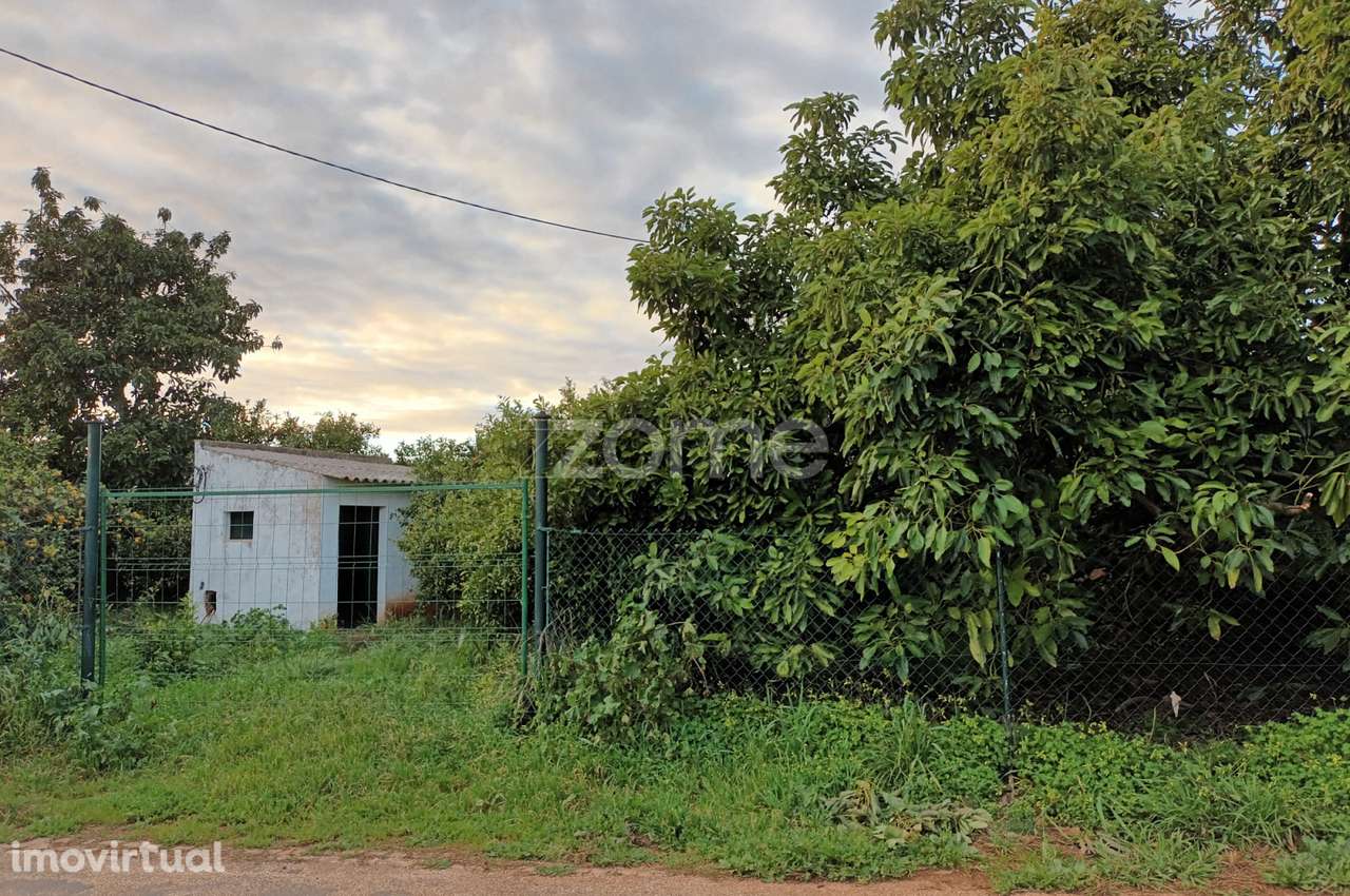 Terreno Agricola em Silves - Grande imagem: 5/20