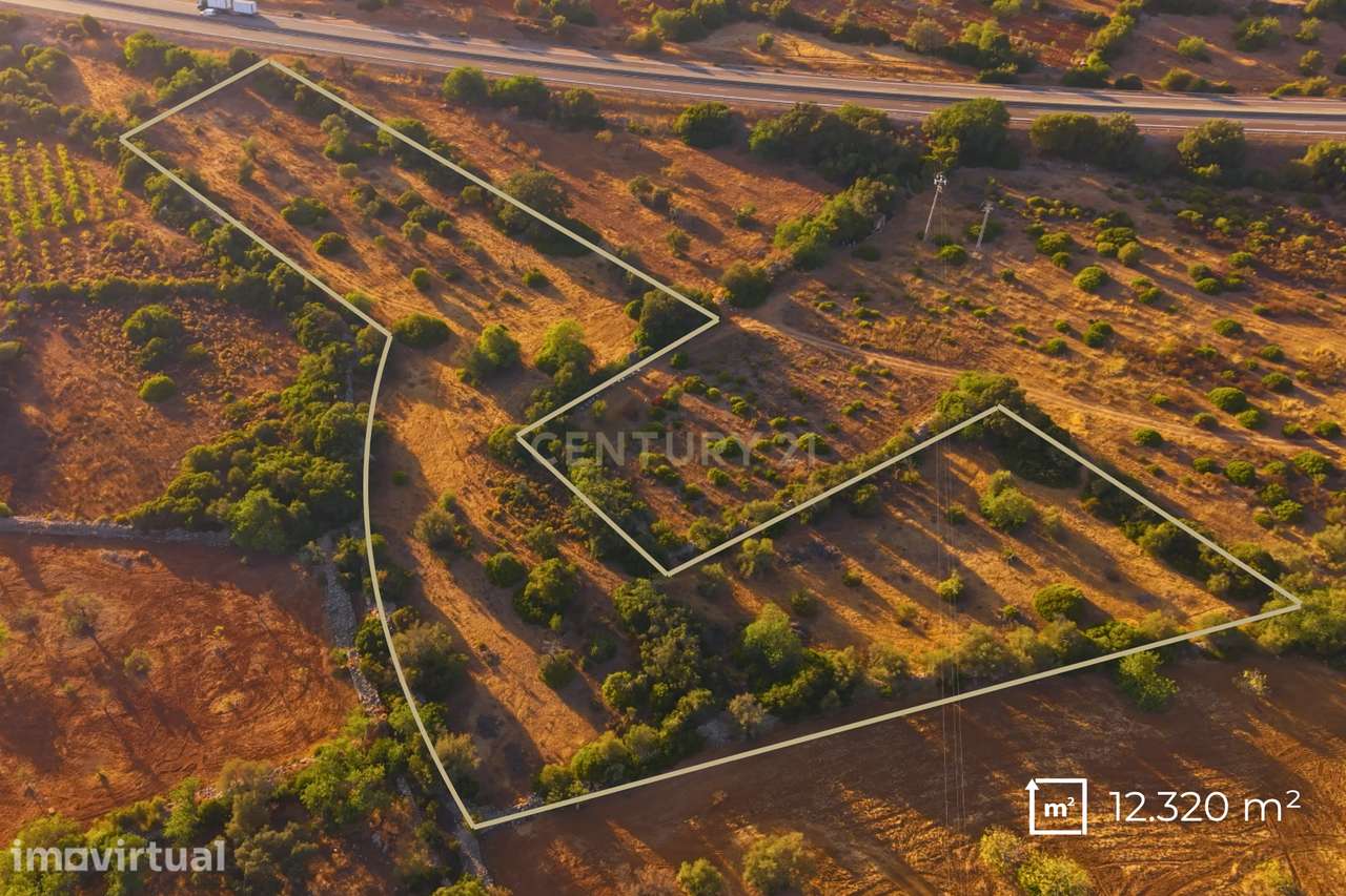 Terreno Rústico com 12.300 m² em Moncarapacho - Olhão - Algarve - Grande imagem: 2/7