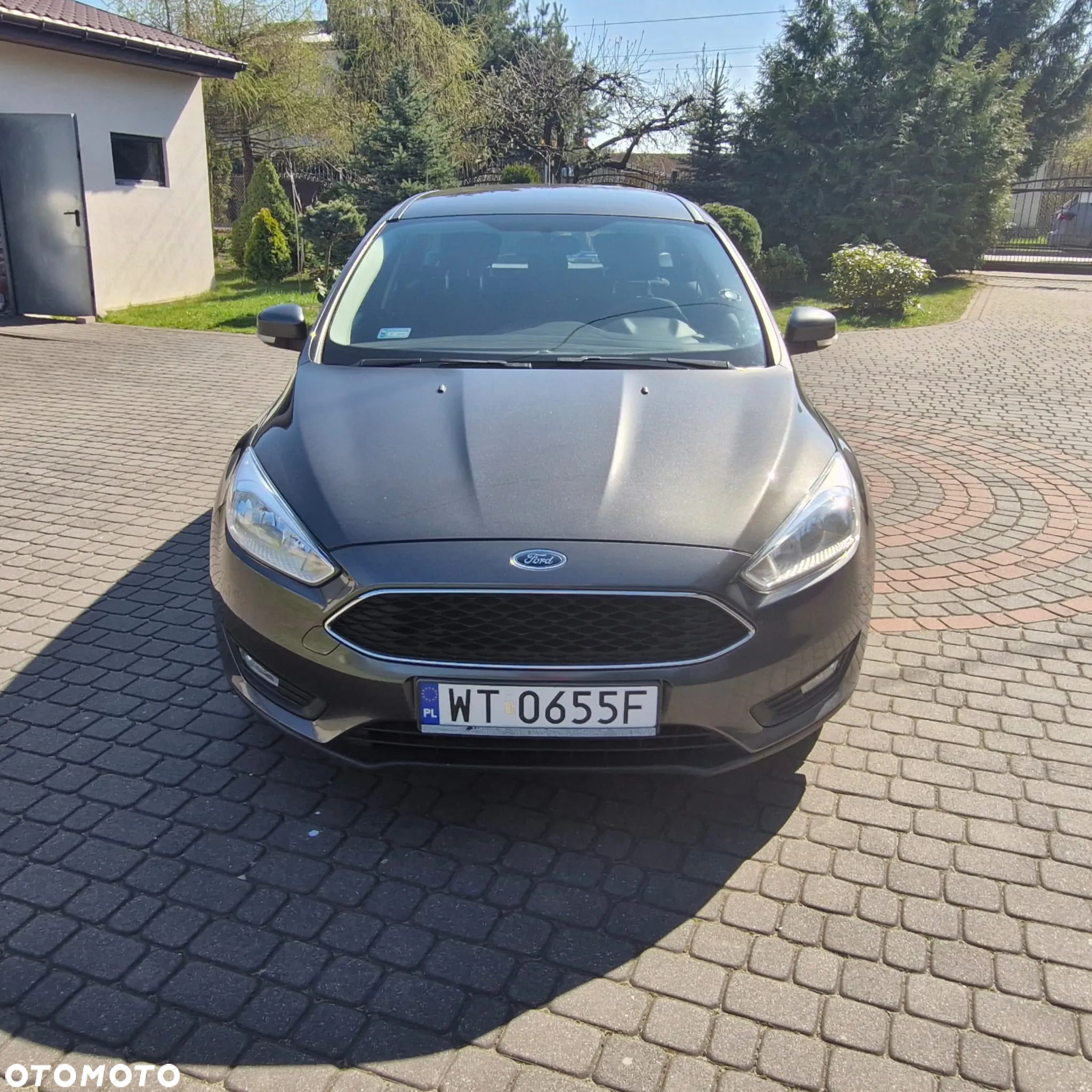Ford Focus 1.6 TDCi Trend - 2