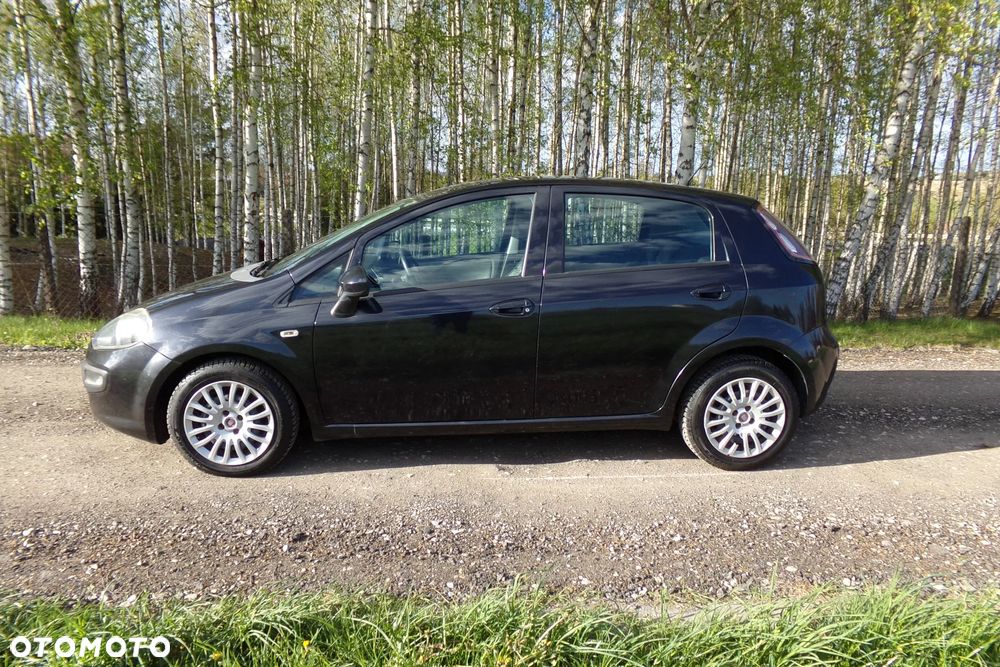 Fiat Punto - 5