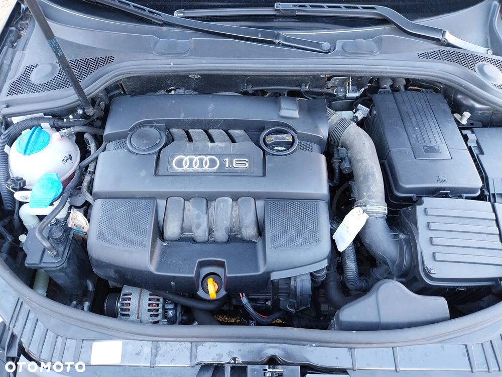 Audi A3 3-drzwiowe 1.6 Attraction - 14