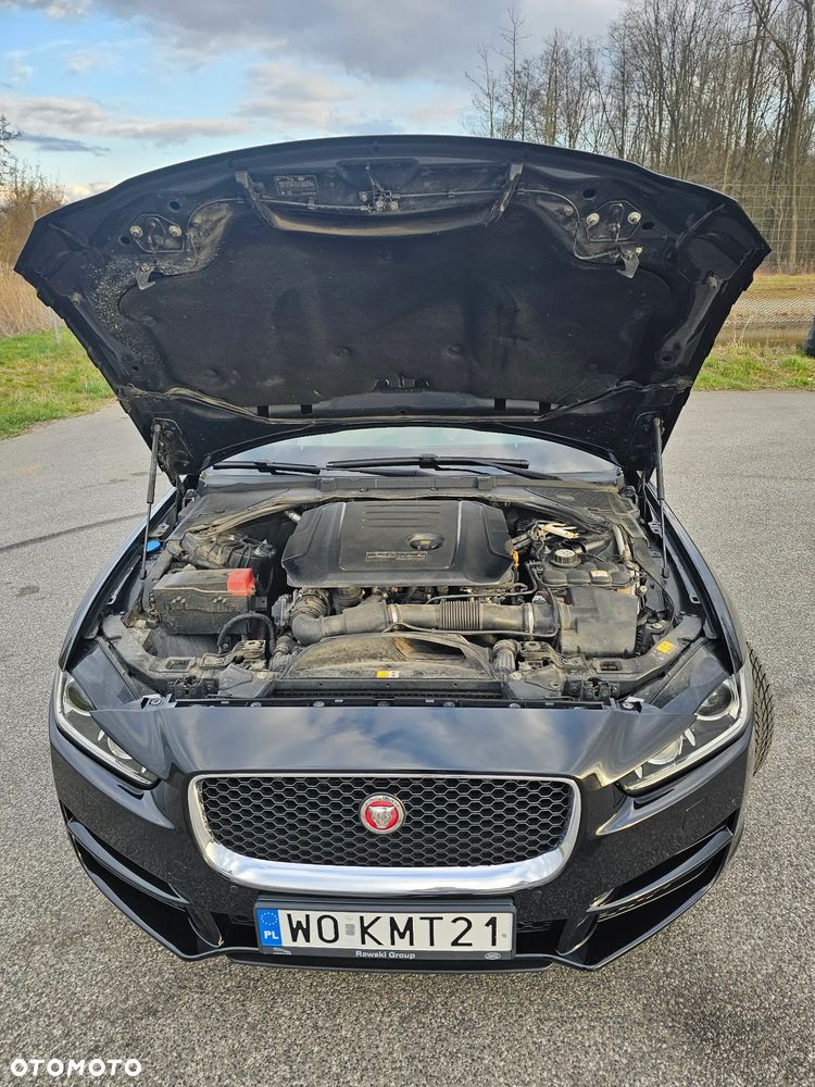 Jaguar XE - 14