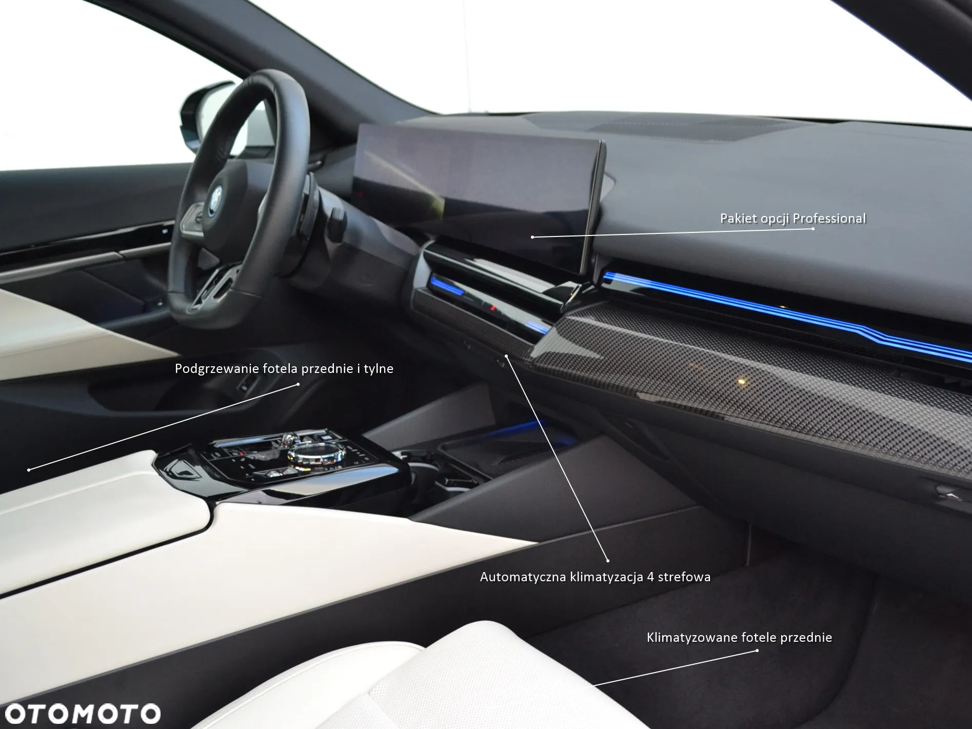 BMW Seria 5 530e - 10