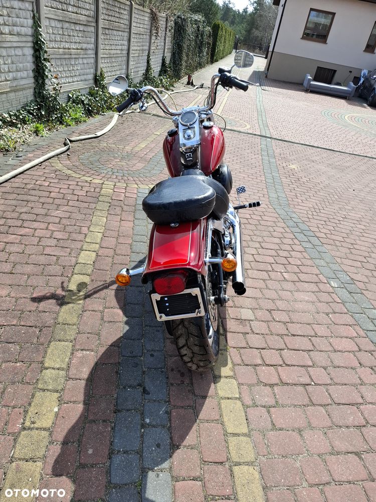 Harley-Davidson Softail - 6