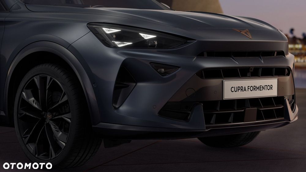 Cupra Formentor 2.0 TSI 4Drive DSG - 9
