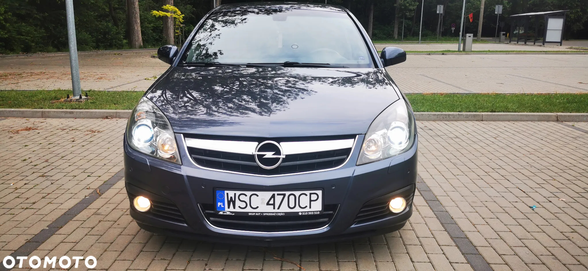 Opel Signum 1.9 CDTI Sport - 5