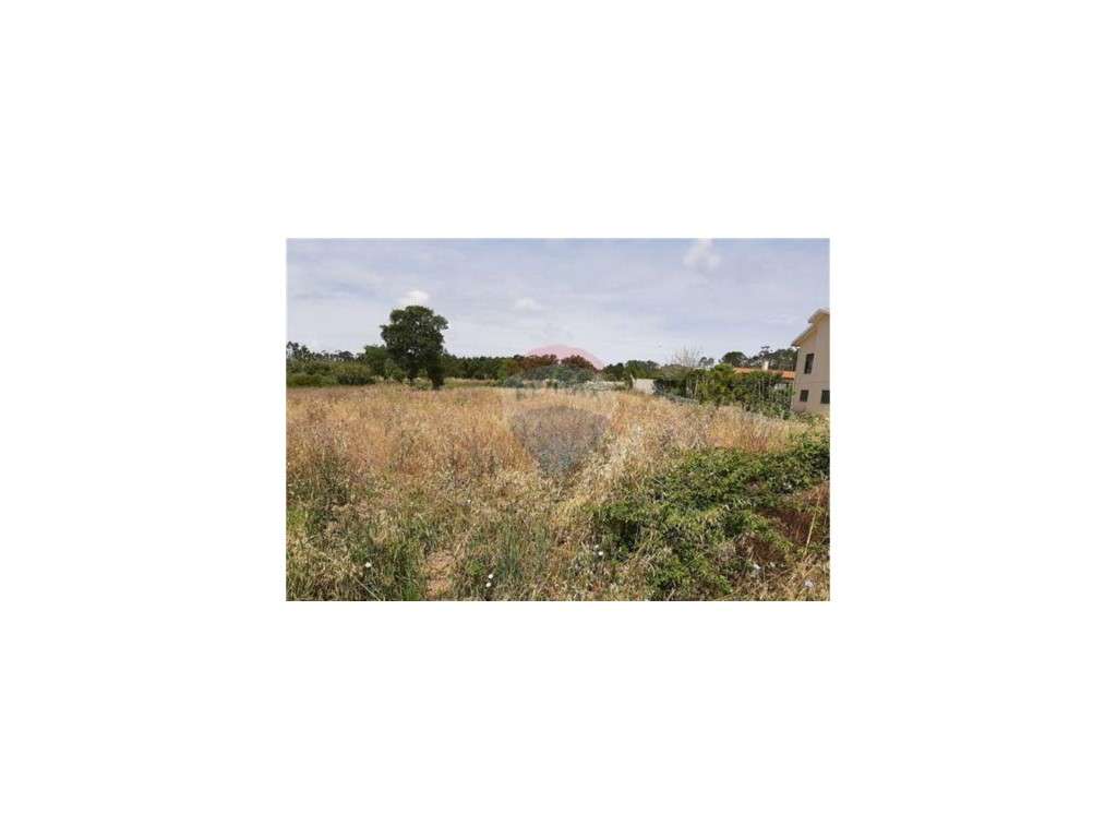Terreno Venda Coimbra - Grande imagem: 3/3