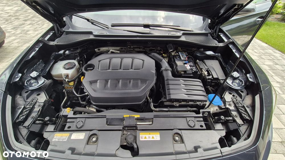 Cupra Formentor 2.0 TSI 4Drive DSG - 22