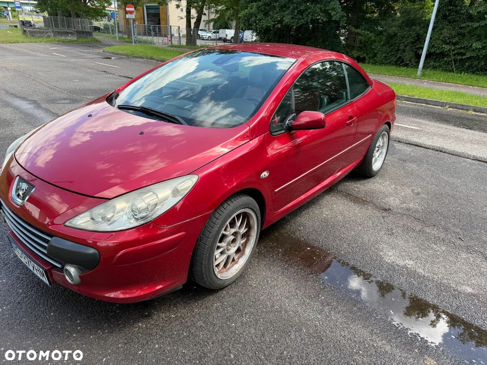 Peugeot 307 CC 2.0 - 15