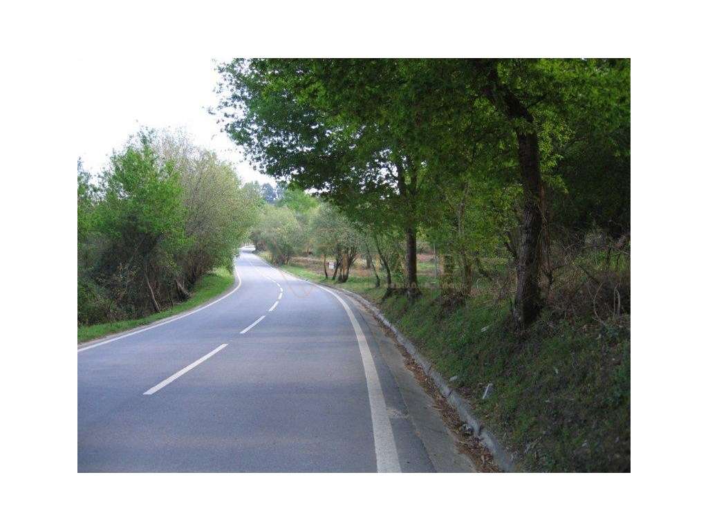 terreno - Grande imagem: 3/4