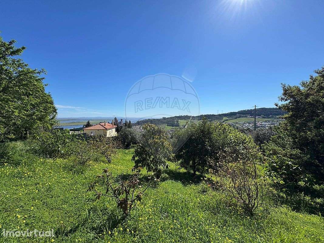 Terreno  para venda - Grande imagem: 3/32