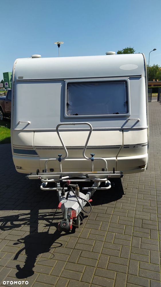 Wilk sport - 9