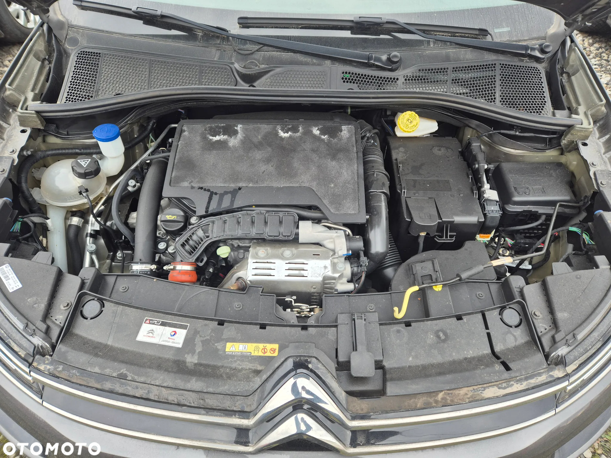 Citroën C4 Cactus 1.2 PureTech GPF Feel - 9