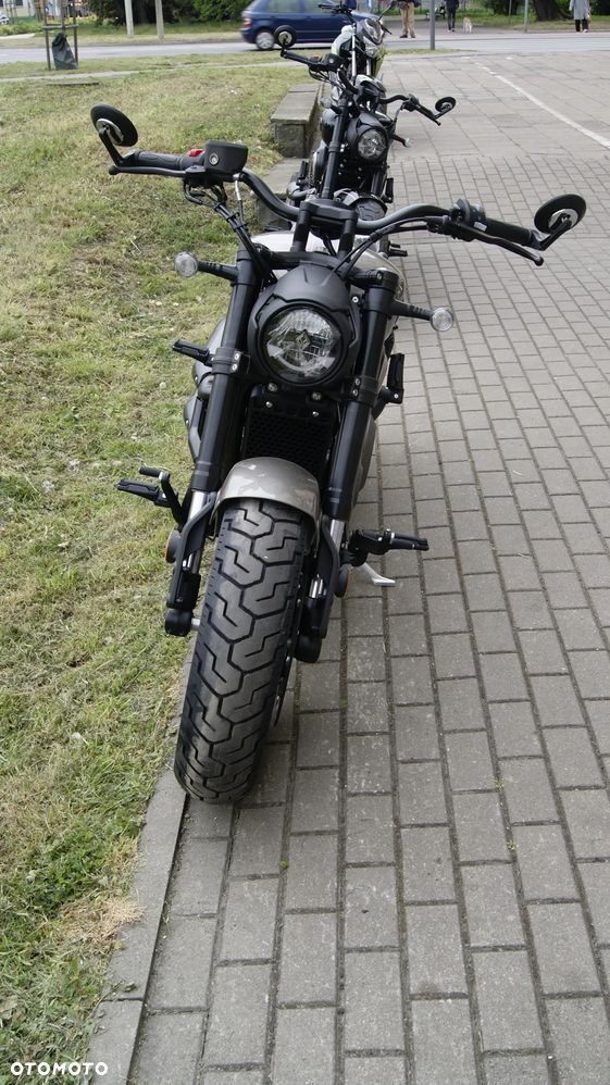 Benda Chinchilla 500 - 3