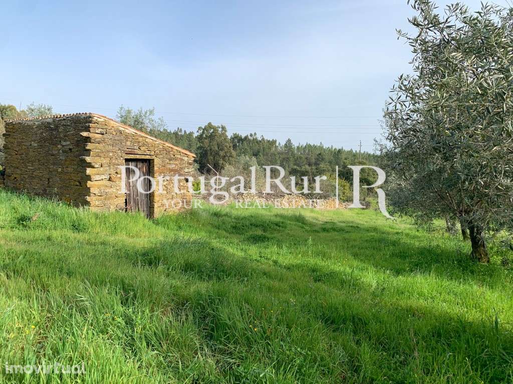 Quintinha do Lavrador - 5500m2 terreno - PIP aprovado 978m2 - Grande imagem: 4/37