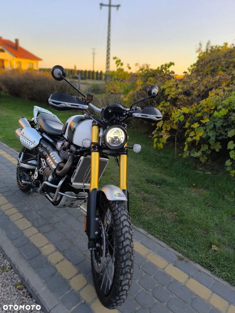 Triumph Scrambler - 1