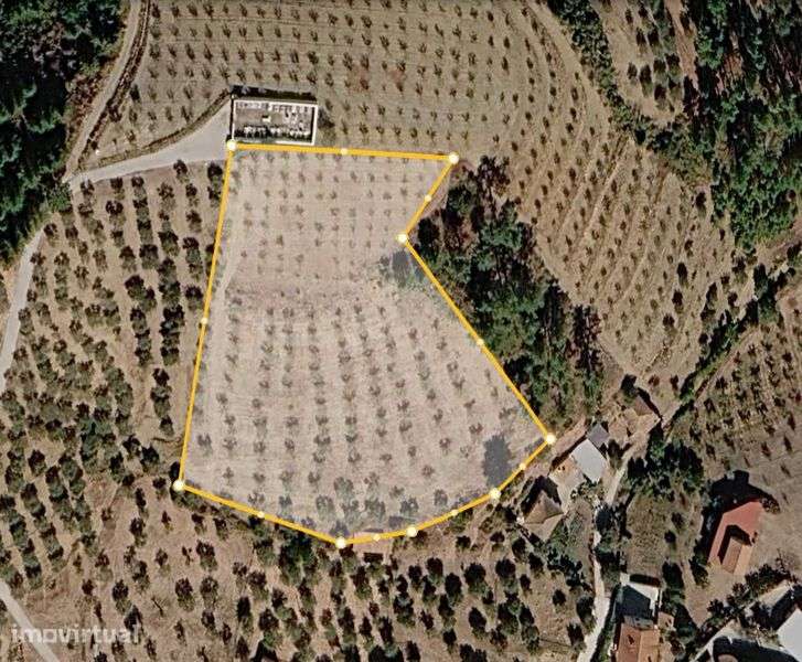 VENDA DE TERRENO - Plantação de Amendoeiras e Oliveiras