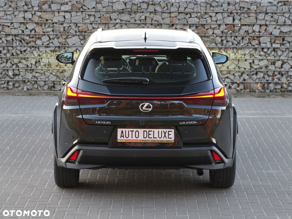 Lexus UX 250h GPF Elegance 2WD - 3