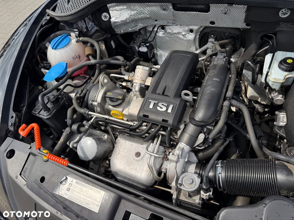 Volkswagen Beetle - 11