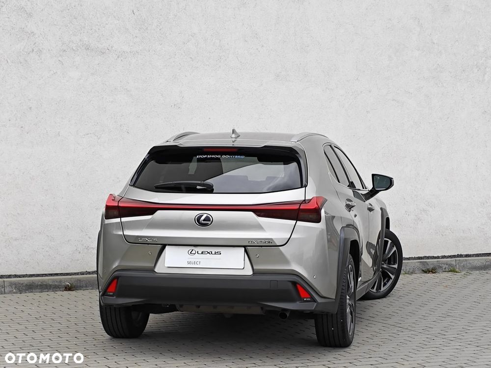 Lexus UX 250h GPF Business Edition 2WD - 5