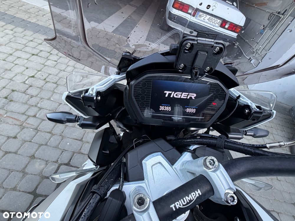 Triumph Tiger - 5