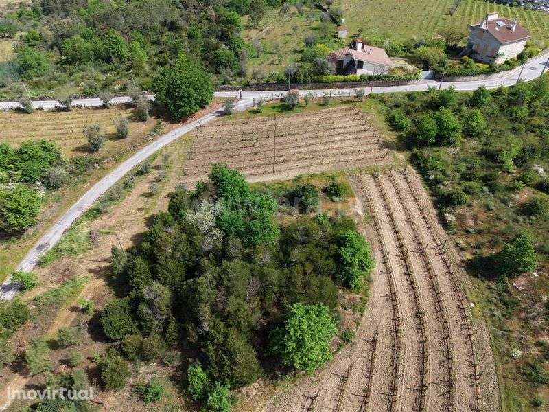 Quinta Rústica Habitável com 4 Hectares + Equipamento Agrícola.

Apres - Grande imagem: 2/8