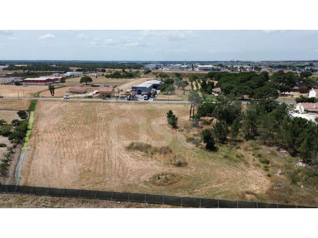 Terreno Industrial em Benavente - Grande imagem: 5/13
