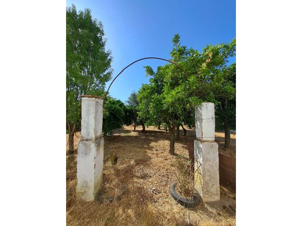 PROJETO TURÍSTICO ou MORADIA com 731 m2 de CONSTRUÇÃO em terreno co... - Grande imagem: 2/10