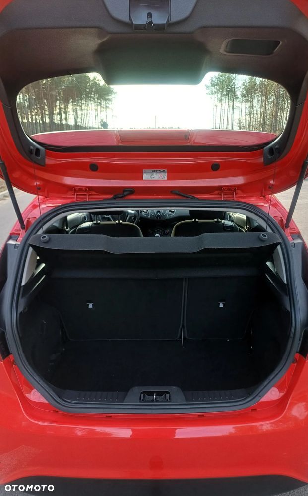 Ford Fiesta 1.6 TDCi Individual - 11