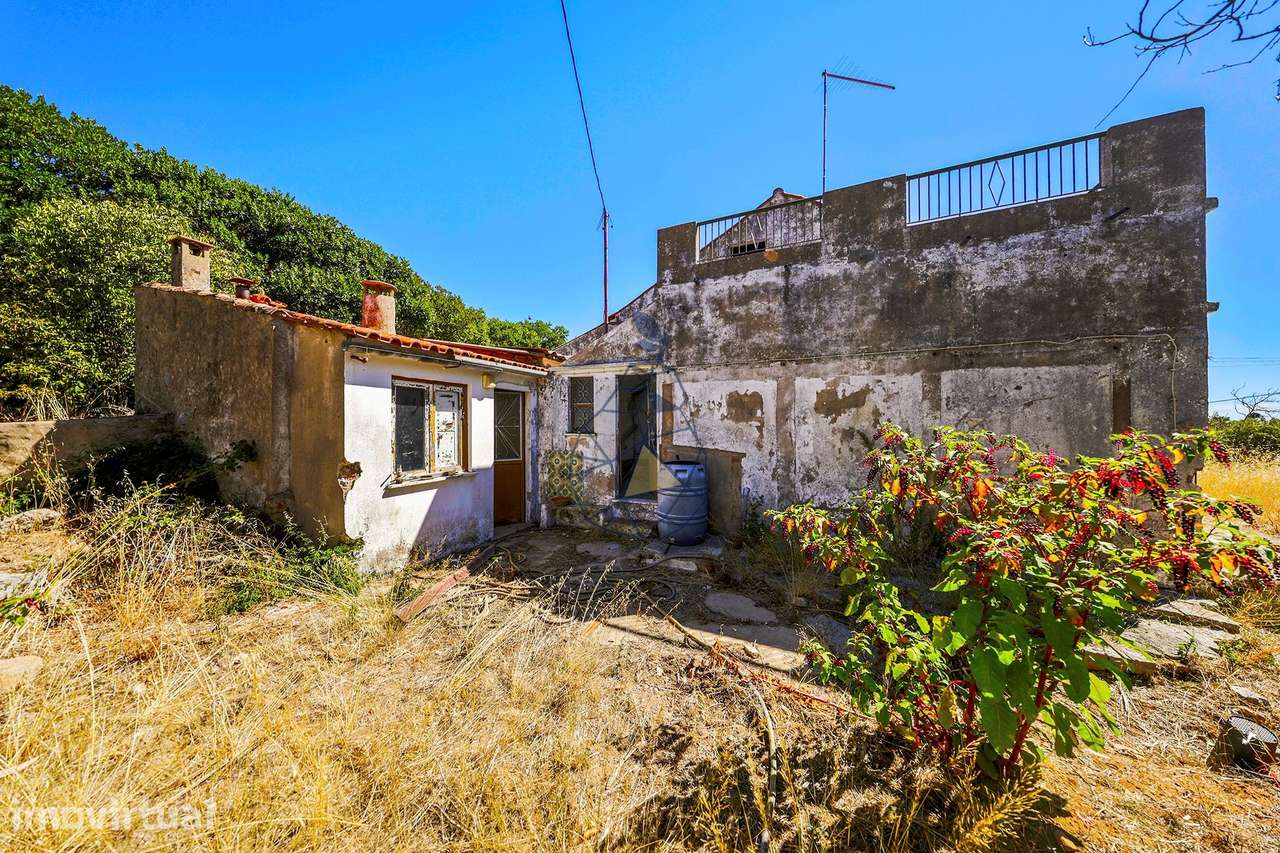 Quinta com Vista Mar, Água em Abundância e Privacidade — Rincovo Palme - Grande imagem: 4/60