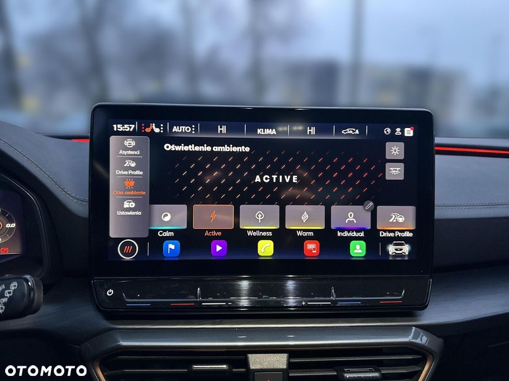 Cupra Formentor 2.0 TSI 4Drive DSG - 33