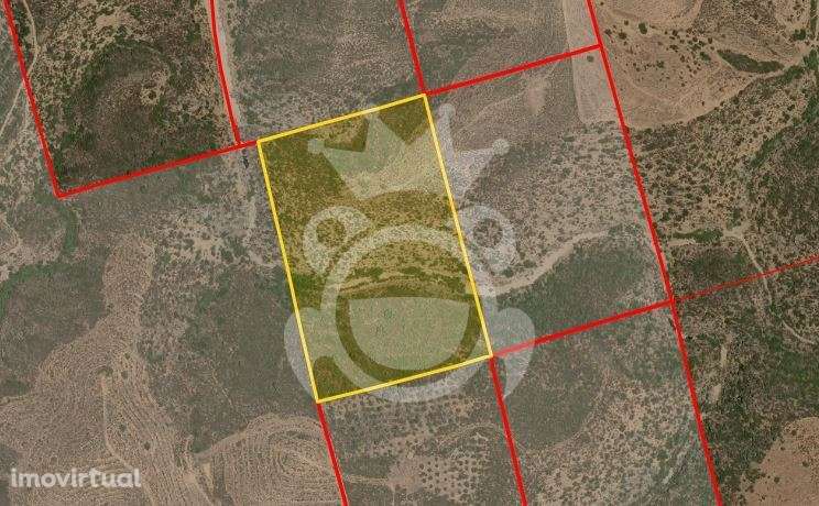 Terreno Rústico - 6.25ha - Grande imagem: 4/4