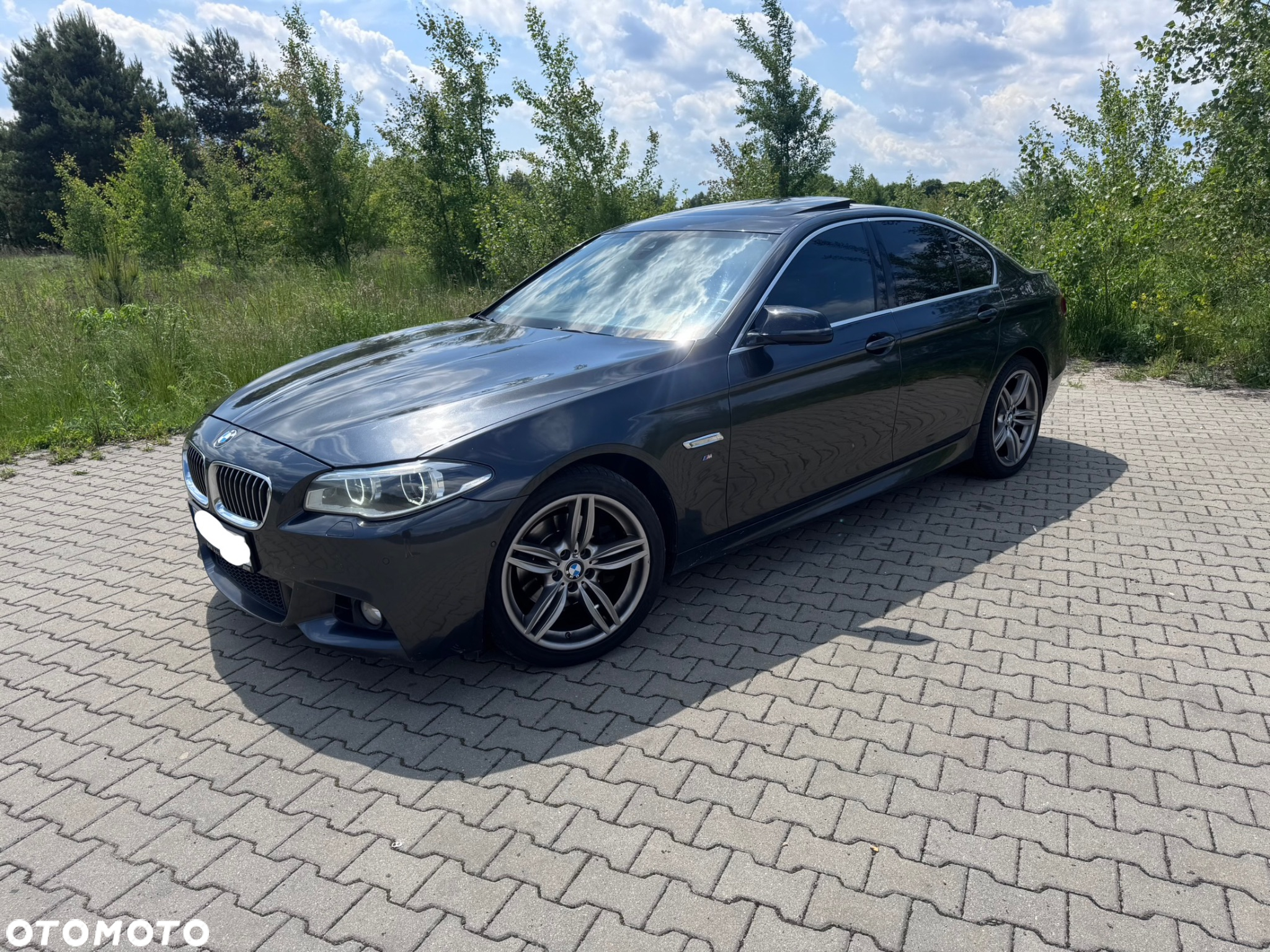 BMW Seria 5 520d xDrive - 10