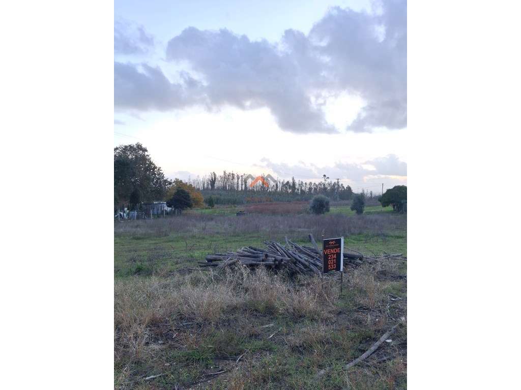 Terreno Urbano para Construção - Águeda - Grande imagem: 4/9