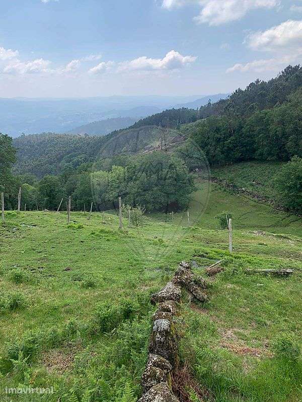 Terreno  para venda - Grande imagem: 4/7