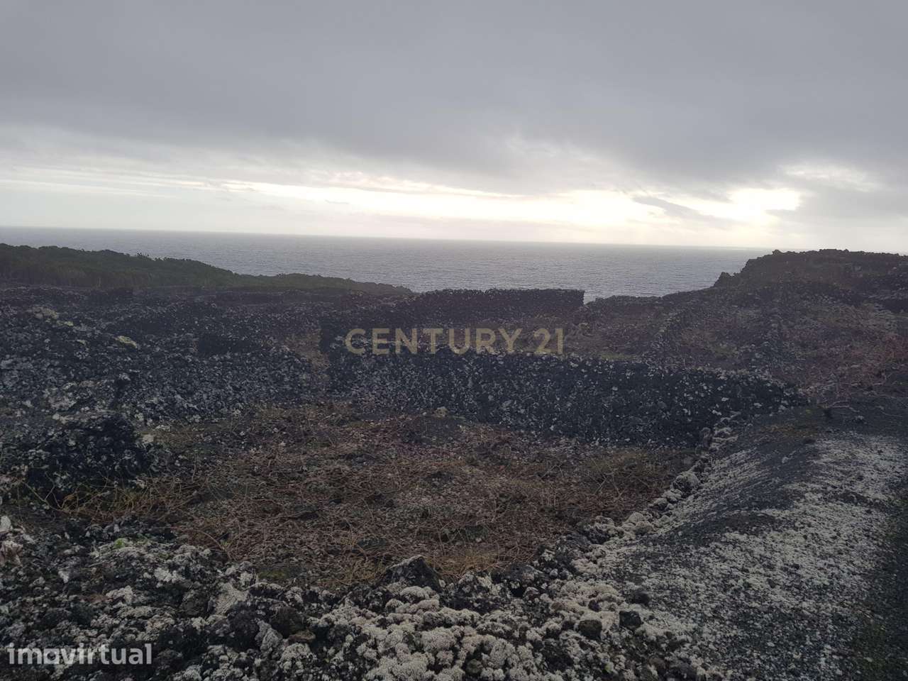 Terreno com Vinha e Potencial Construtivo na Candelária - Grande imagem: 2/6